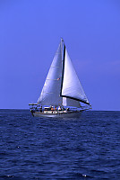 Sailboat